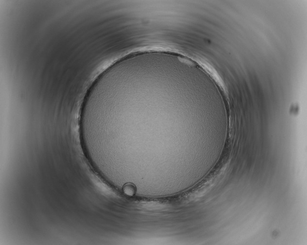 X0000102350389200808151755