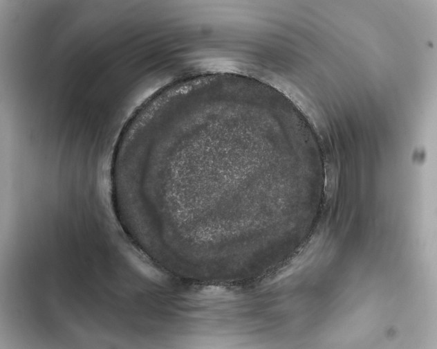 X0000102350390200808151755