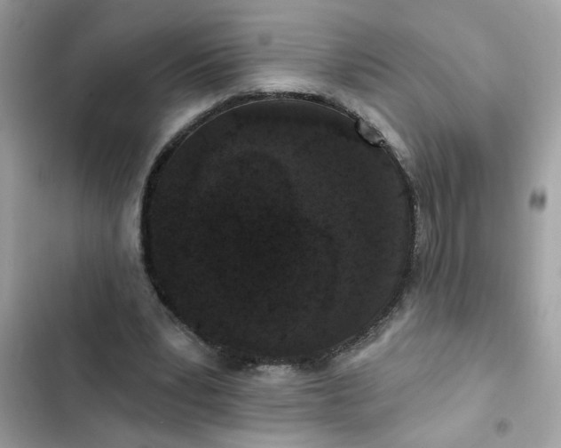 X0000102350391200808151755