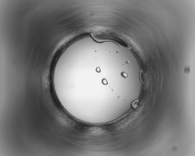 X0000102350392200808151755