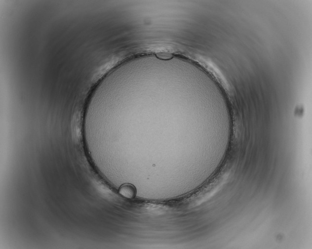 X0000102350393200808151755