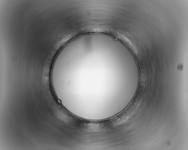 X0000102350394200808151755