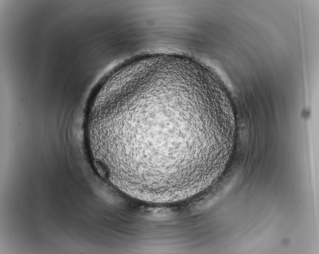 X0000102350395200808151755