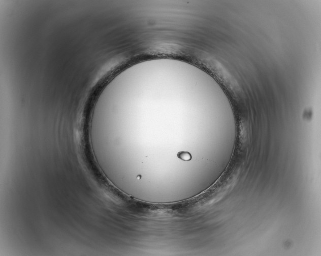 X0000102350396200808151755