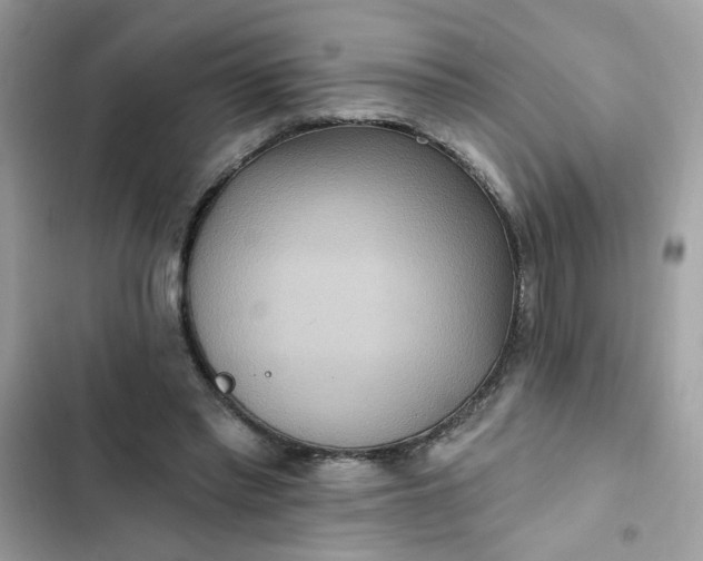 X0000102350397200808151755