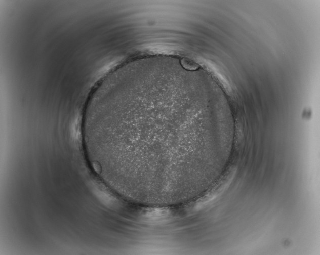 X0000102350398200808151755