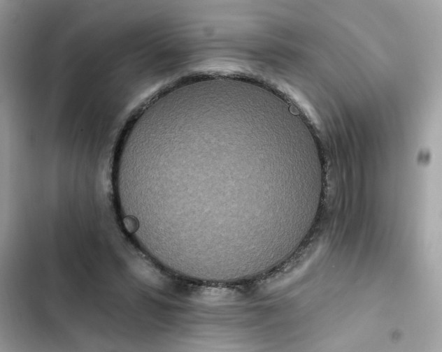 X0000102350399200808151755