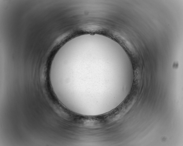 X0000102350400200808151755