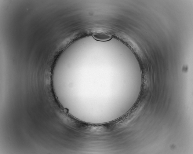 X0000102350401200808151755