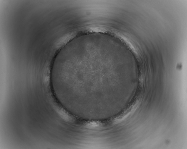 X0000102350402200808151755