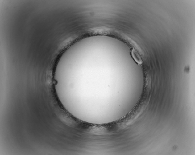 X0000102350403200808151755