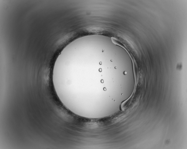 X0000102350404200808151755