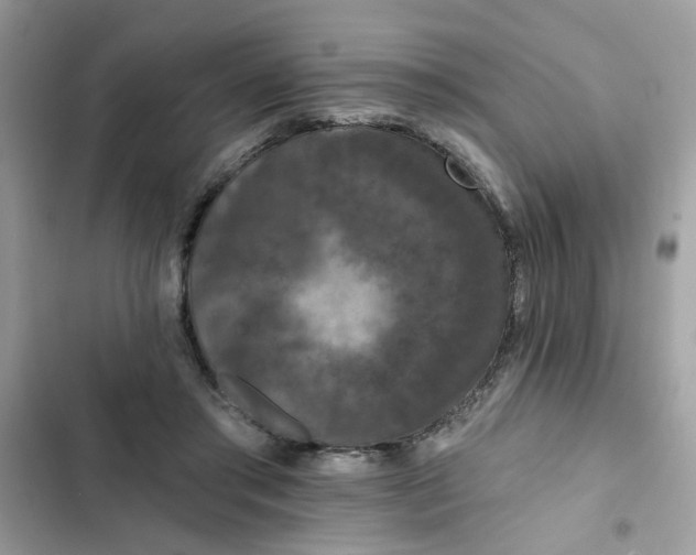 X0000102350405200808151755