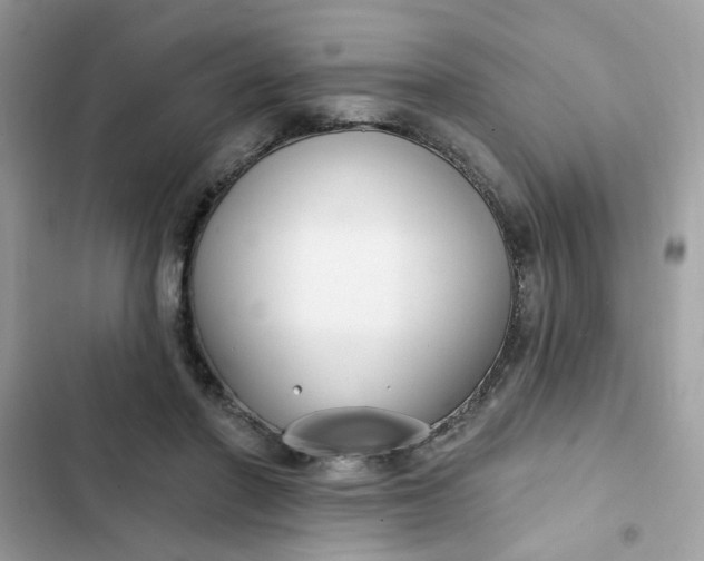 X0000102350406200808151755