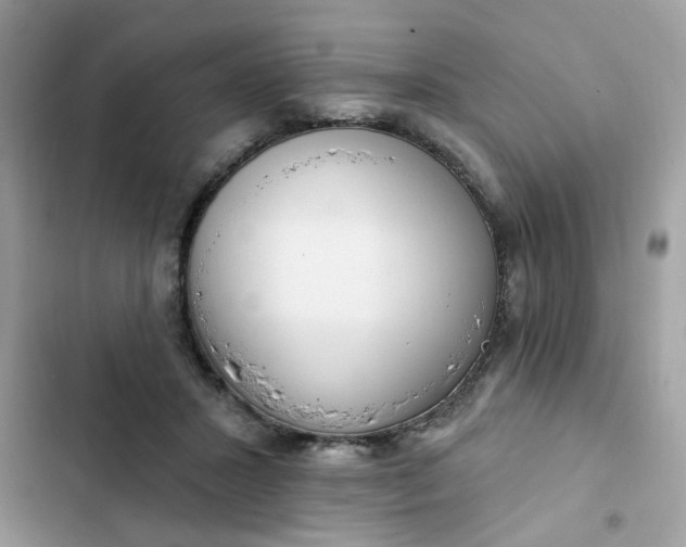 X0000102350407200808151755