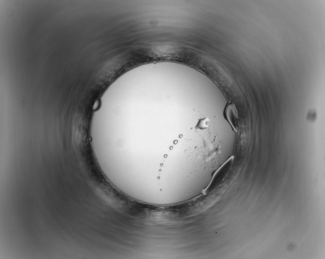 X0000102350408200808151755