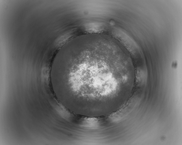 X0000102350409200808151755