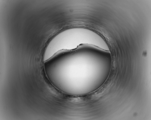 X0000102350411200808151755