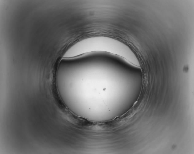 X0000102350412200808151755