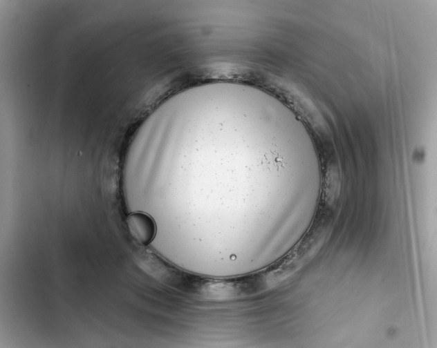 X0000102350413200808151755