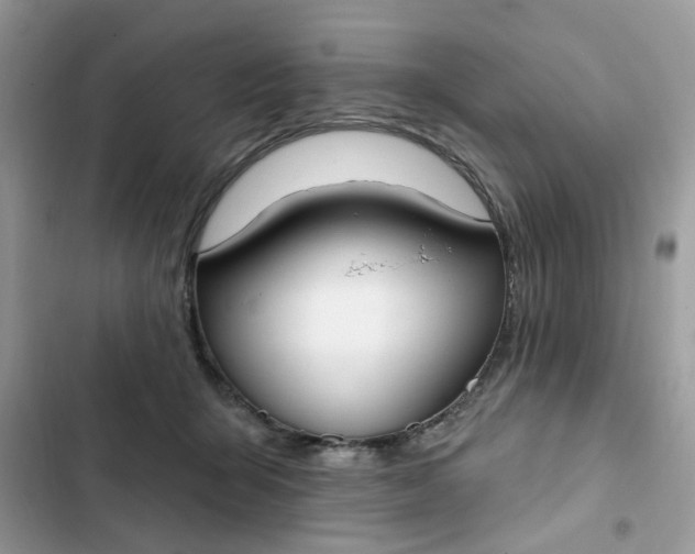 X0000102350415200808151755