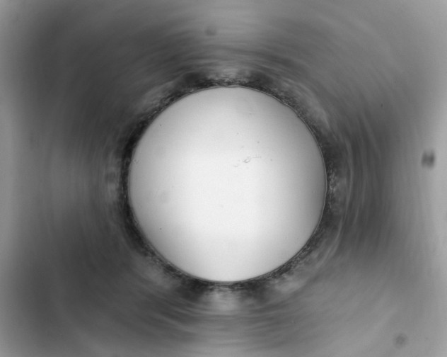 X0000102350416200808151755