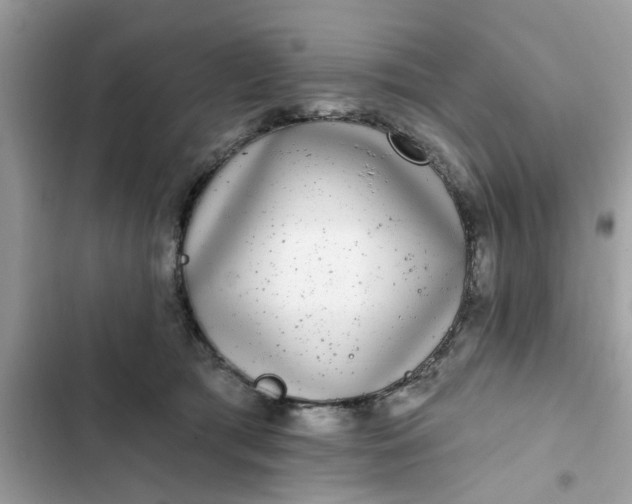 X0000102350417200808151755