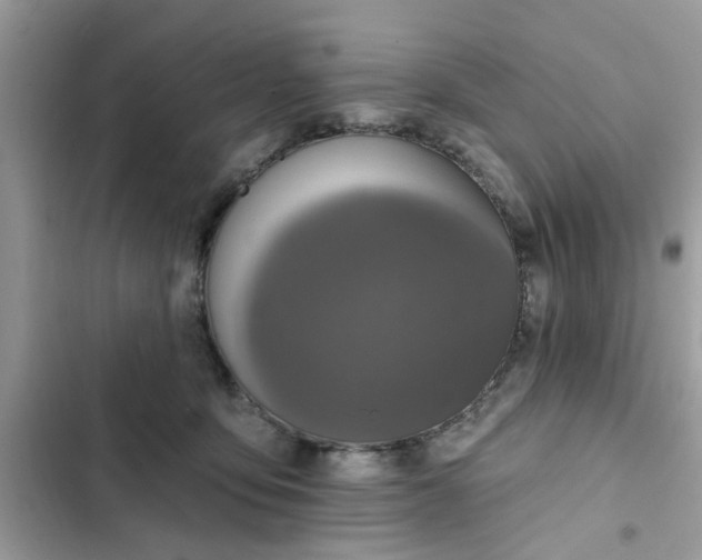 X0000102350419200808151755