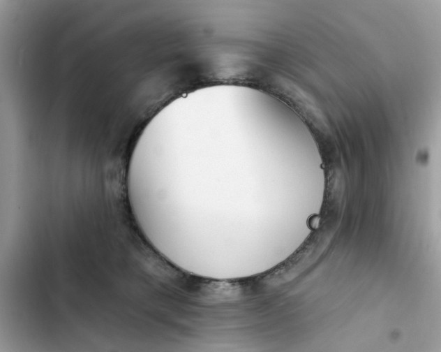 X0000102350421200808151755