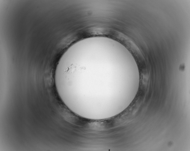 X0000102350422200808151755