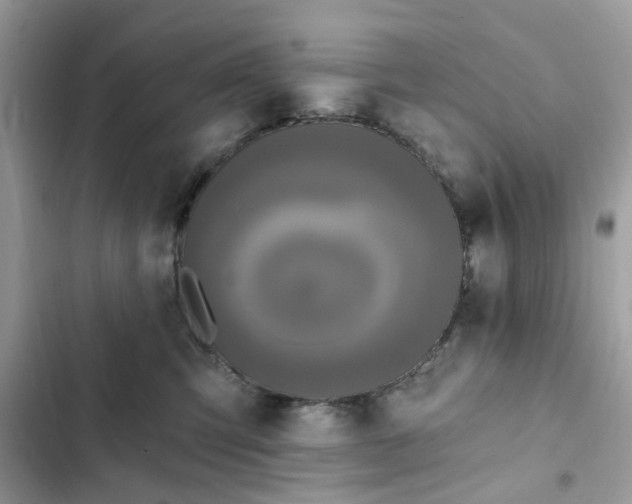 X0000102350423200808151755