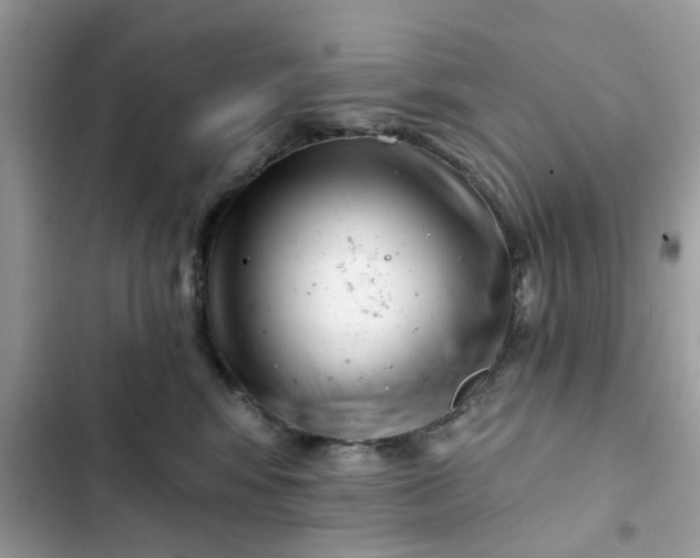 X0000102350424200808151755