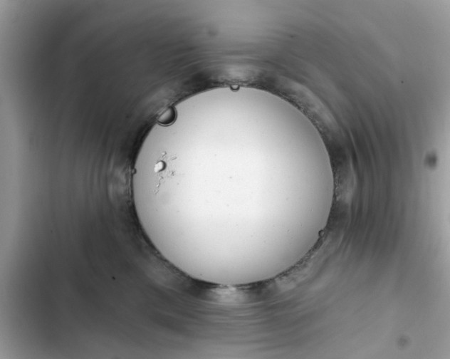 X0000102350425200808151755