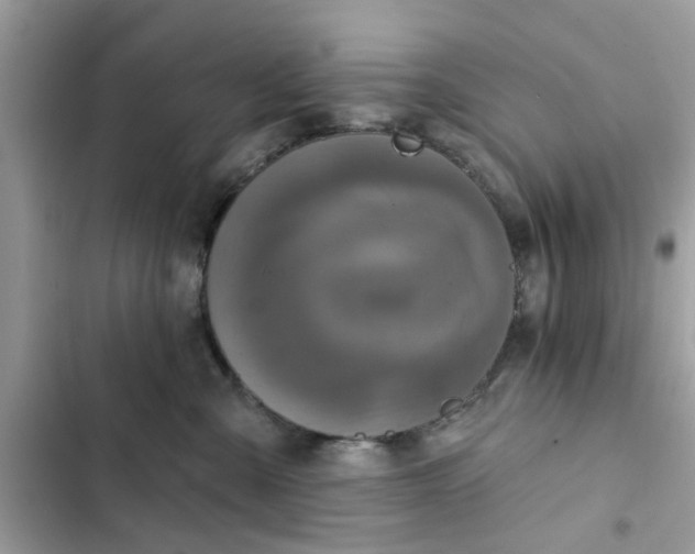 X0000102350427200808151755