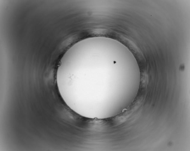 X0000102350428200808151755