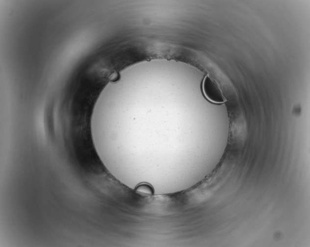 X0000102350429200808151755