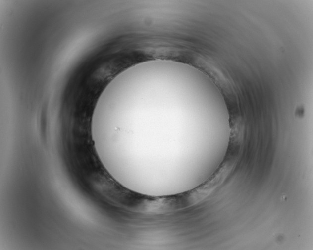 X0000102350430200808151755