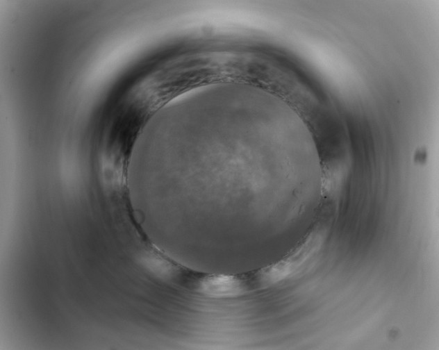 X0000102350431200808151755