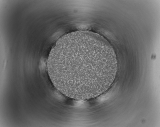 X0000102350432200808151755