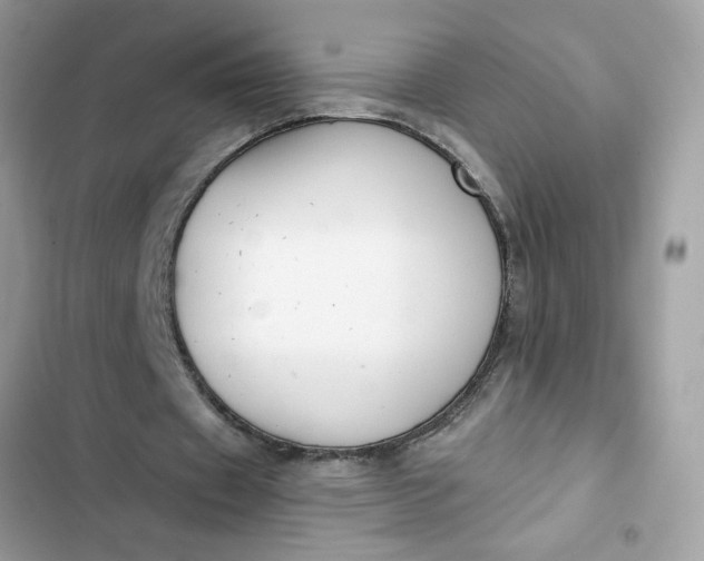 X0000102350433200808151754