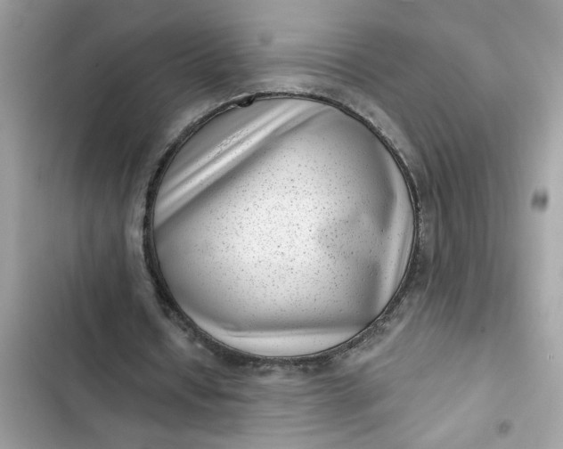 X0000102350434200808151754