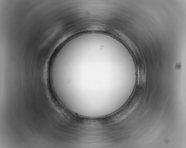 X0000102350435200808151754