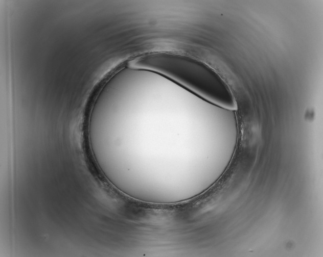 X0000102350436200808151754