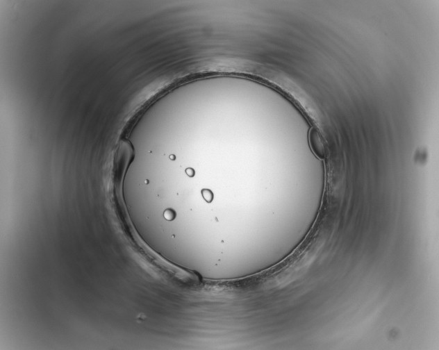 X0000102350437200808151754