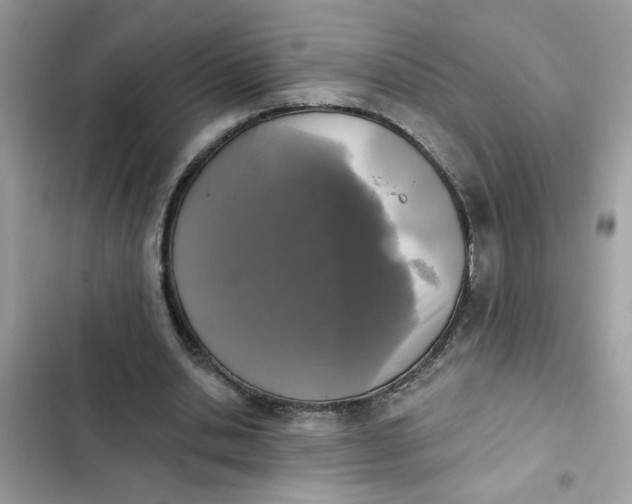 X0000102350438200808151754