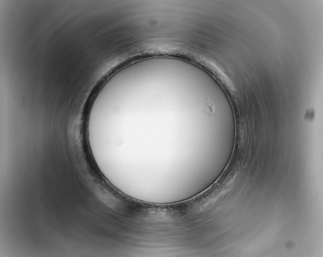 X0000102350439200808151754