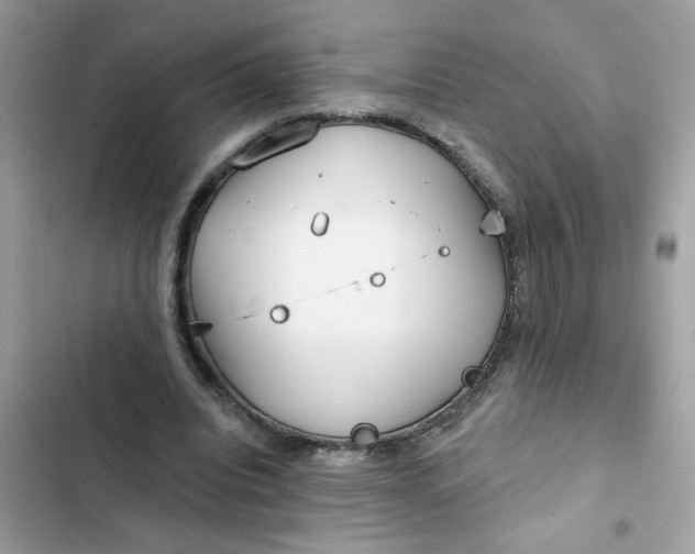 X0000102350440200808151754