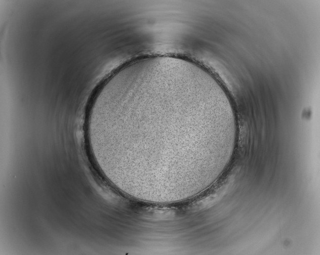 X0000102350443200808151754