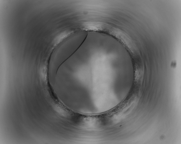 X0000102350444200808151754