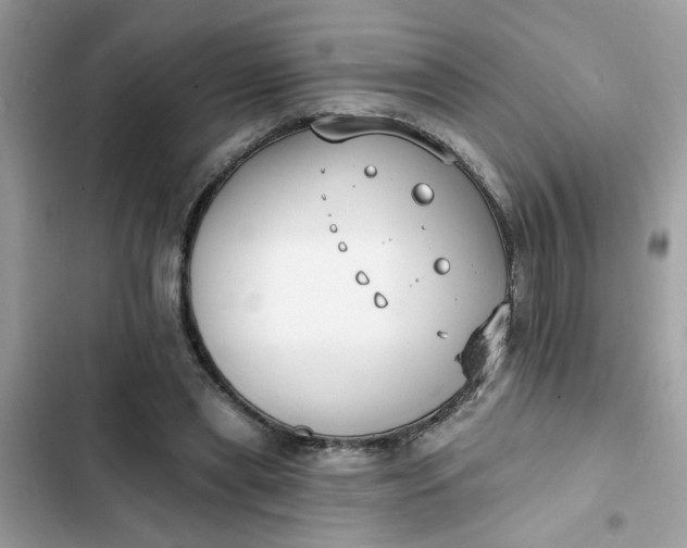 X0000102350445200808151754